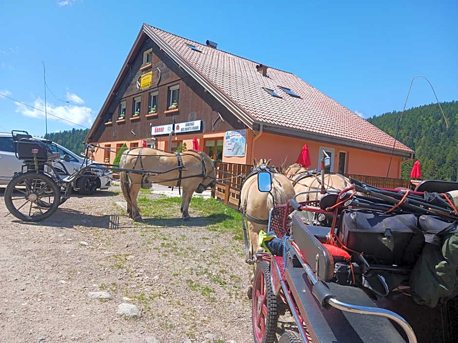 Domaine Des Hauts Viaux