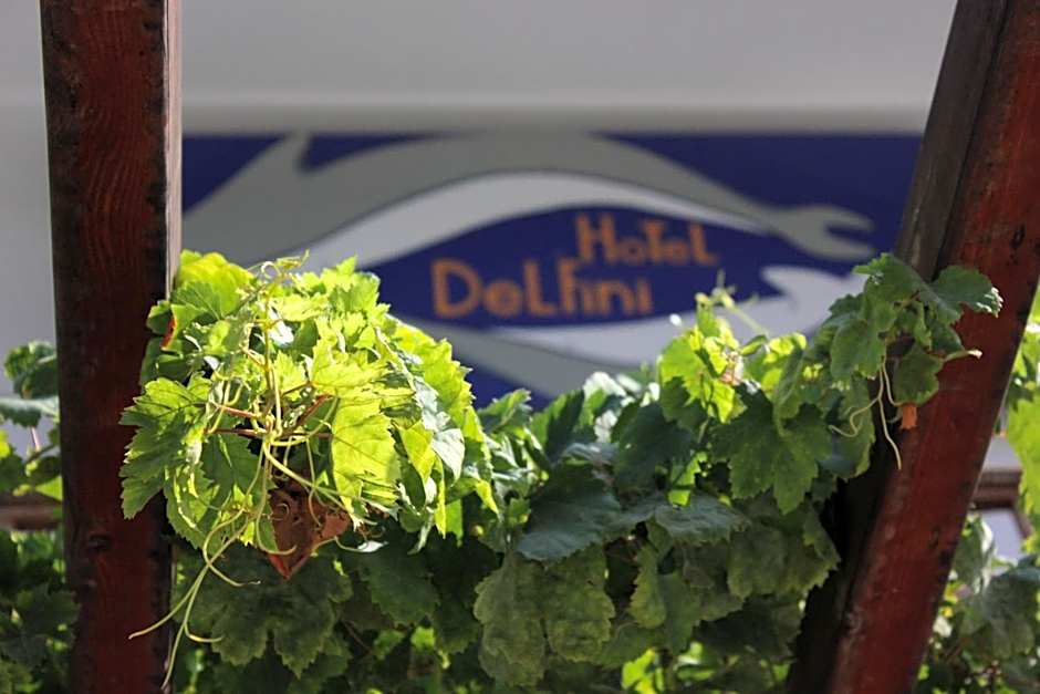 Hotel Delfini