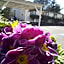 The Orca Inn
