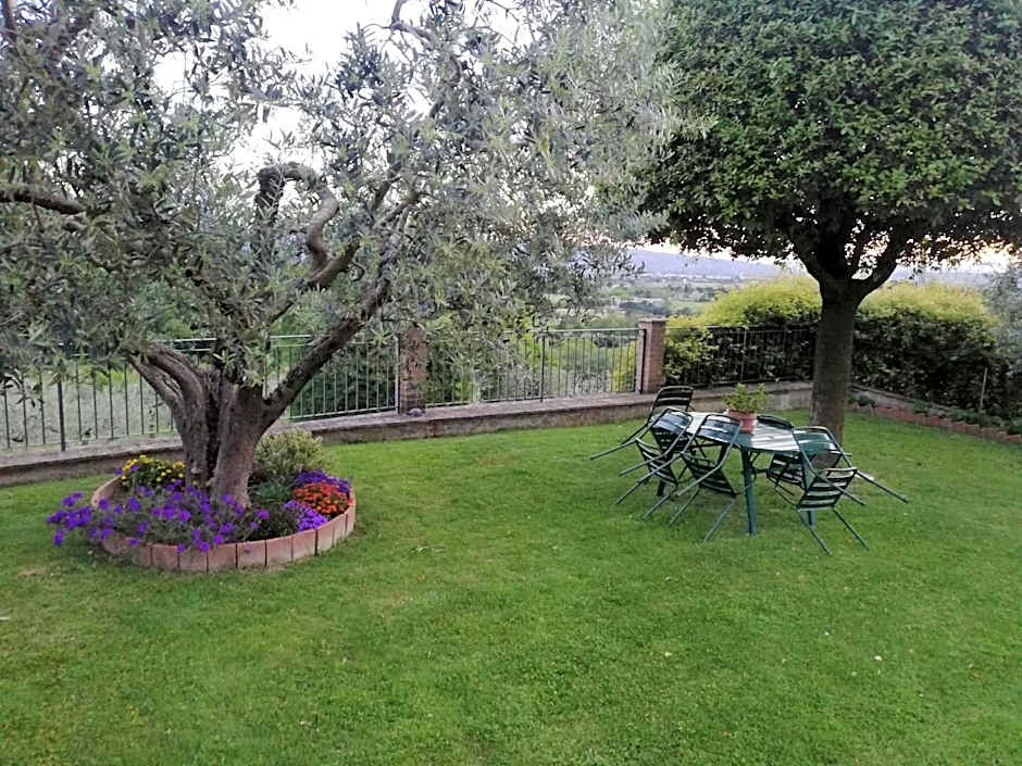 La Casa Tra Gli Ulivi
