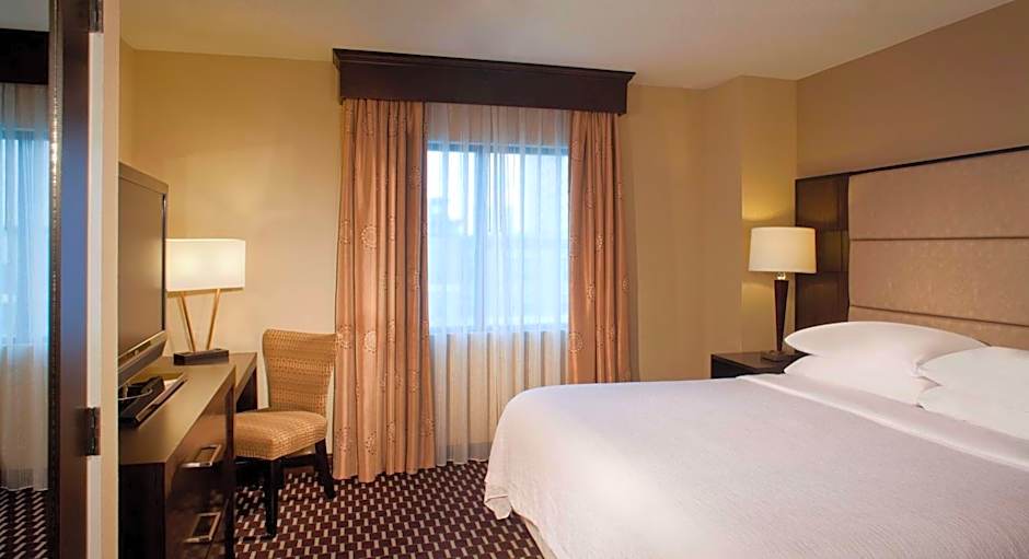 Embassy Suites by Hilton Houston Near the Galleria
