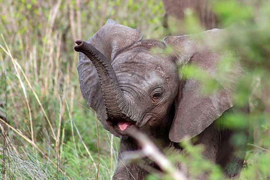 Xanatseni Private Camp