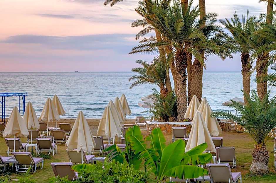 Zeus Hotels Palm Beach