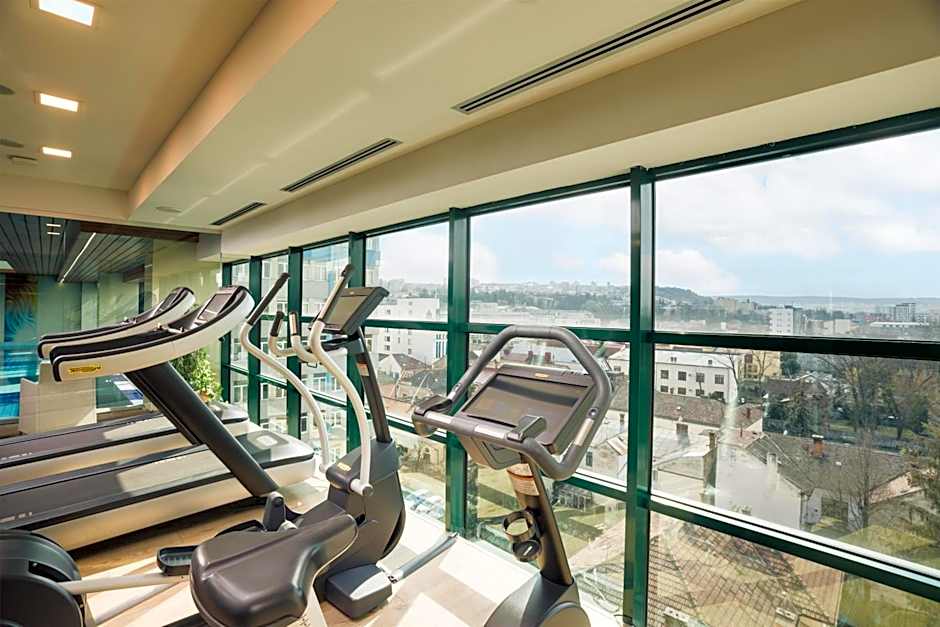 DoubleTree by Hilton Hotel Cluj City Plaza