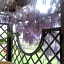 Il Ghiro B&B