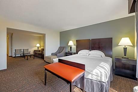 Large King Suite with Sofa Bed - Non-Smoking