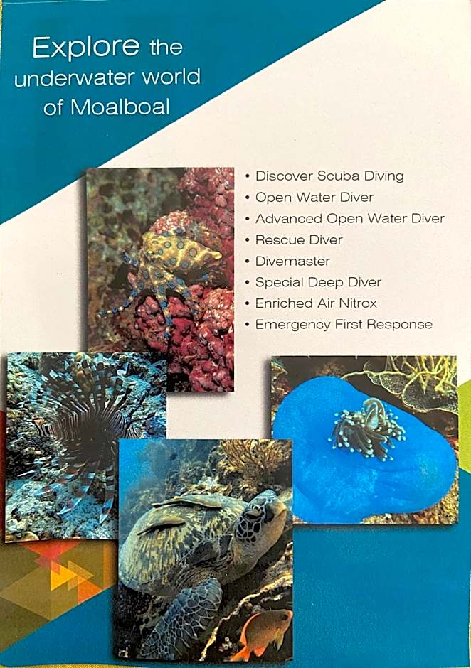 Coconut Inn Moalboal