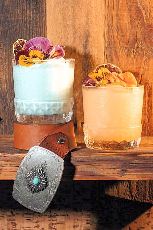 Hollywood Volume, a Tribute Portfolio Hotel