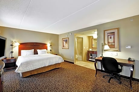 1 King Hearing Access Studio W/Sofabed Ns