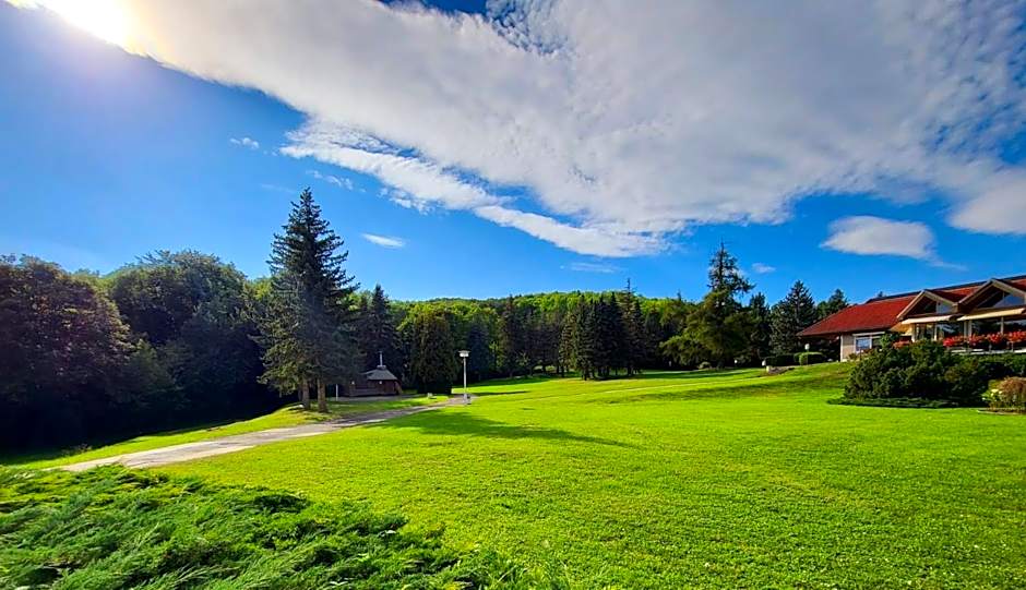 Harz Hotel Vogelberg