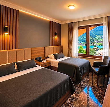 Standard Double Room with View