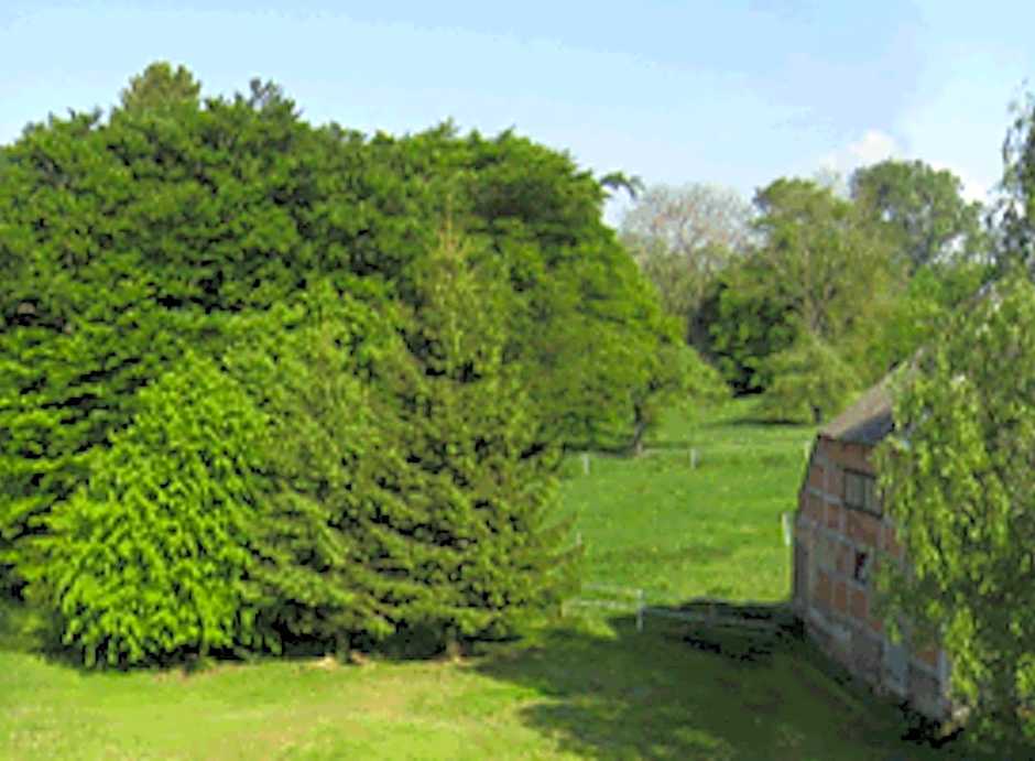 Landhotel Gut Zarrentin