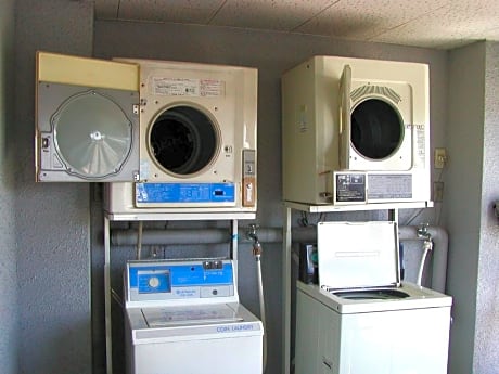 Daily Apartment House Gojo Ivy