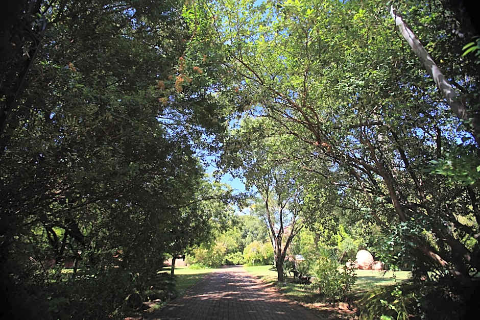 Andante Lodge