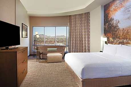 1 Bedroom Penthouse Suite, 1 King, Sofa bed, Stadium view, City view, Top floor