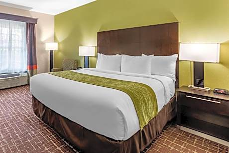 Standard Room, 1 King Bed, Accessible Tub, Non Smoking