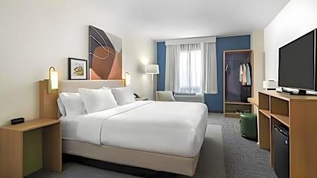 1 King Bed Nonsmoking