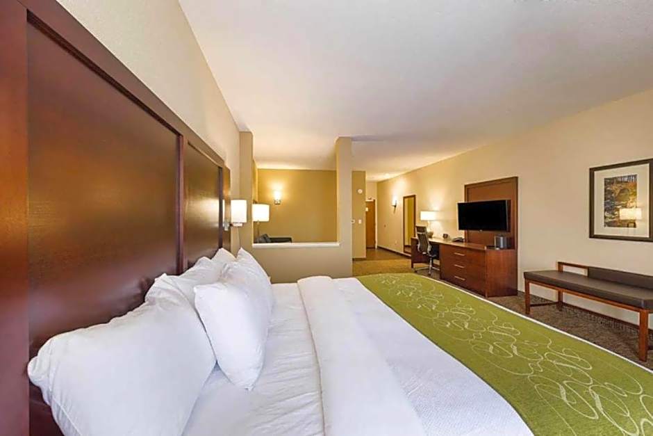 Comfort Suites Piedmont - Greenville South