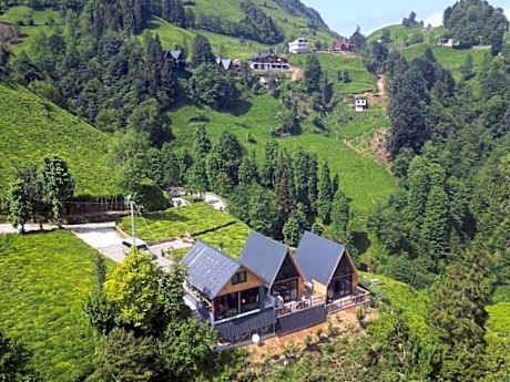 Elva Bungalov