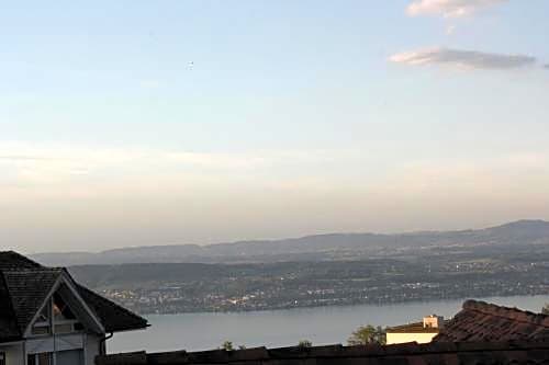 Hotel zum Hirschen