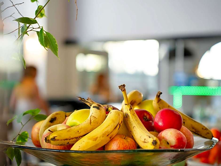 Hotel Mercure Millau