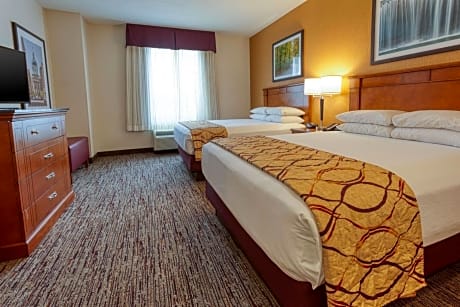 Spacious Queen Suite