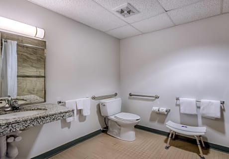 Queen Room - Disability Access - Roll in Shower