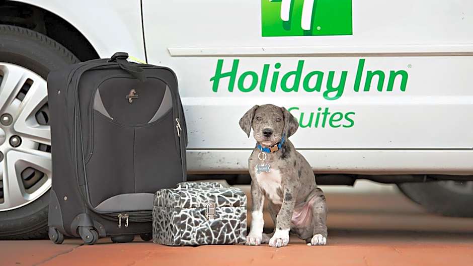 Holiday Inn Hotel & Suites Bloomington Airport By IHG