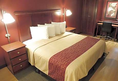 Standard King Smoke Free