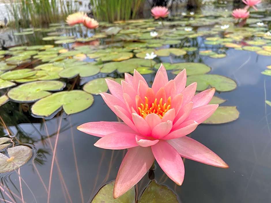 Villarreal Lodge Hotel Ecológico