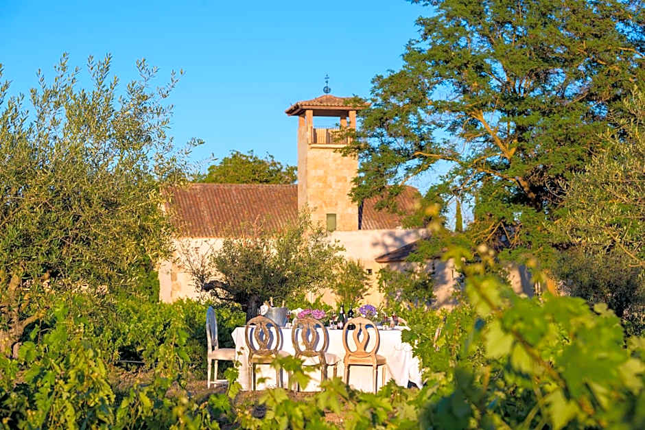 Hacienda Zorita Wine Hotel & Organic Farm