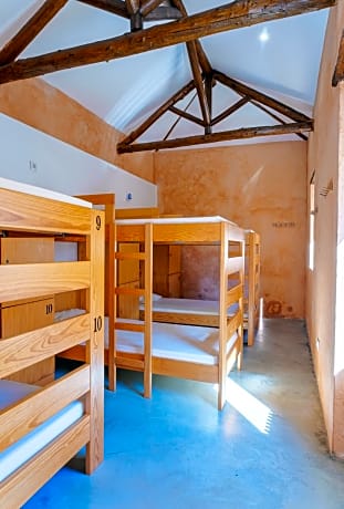 Bunk Bed in Mixed Dormitory Room