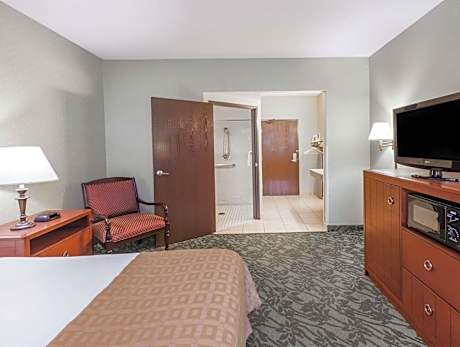 1 King Mobility Accessible Roll In Shower