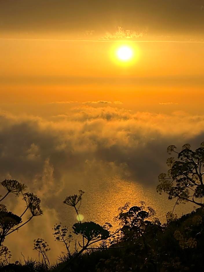 Hotel Boutique Ideal