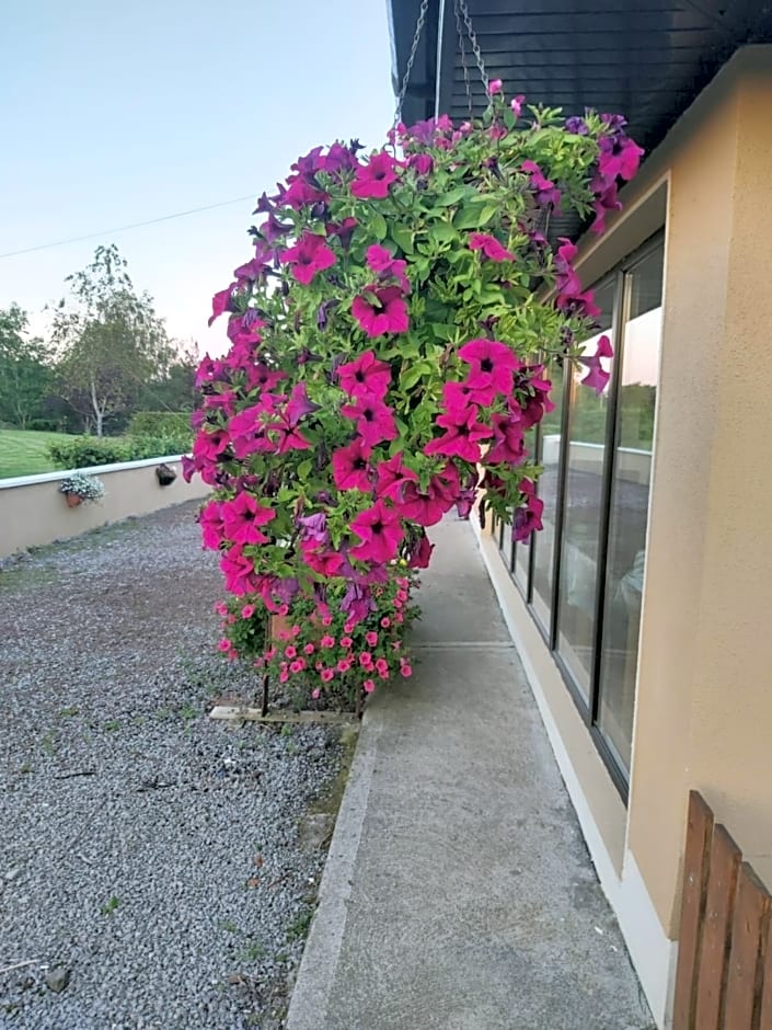 Ard Aoibhinn Roscommon Bed & Breakfast