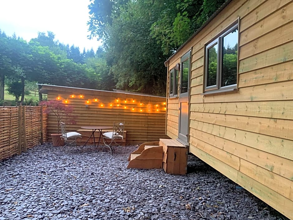 Shepherd’s delight