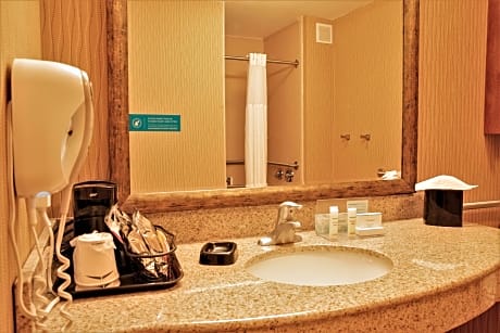 1 King Mobility/Hearing Acc Ri Shower Nosmok