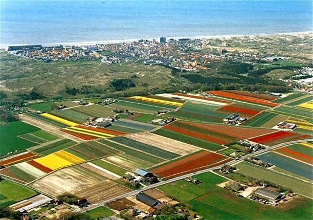 Loft aan Zee Bergen- Schoorl