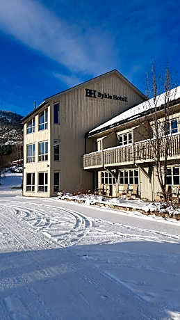 Bykle Hotel