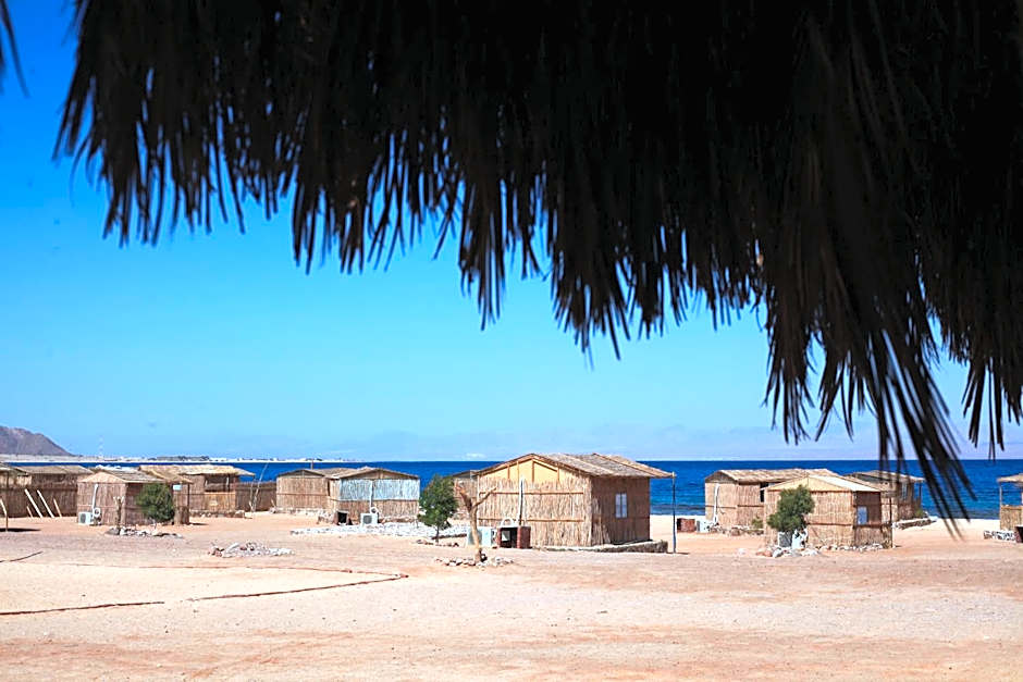 New Droub Camp