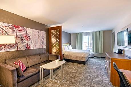 Studio, 1 King Bed with Sofa bed (1 King Bed and 1 Double Sofa Bed)