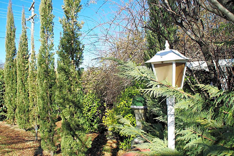 White Lanterns Motel