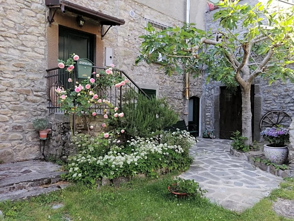 B&B Alle Ortensie Blu