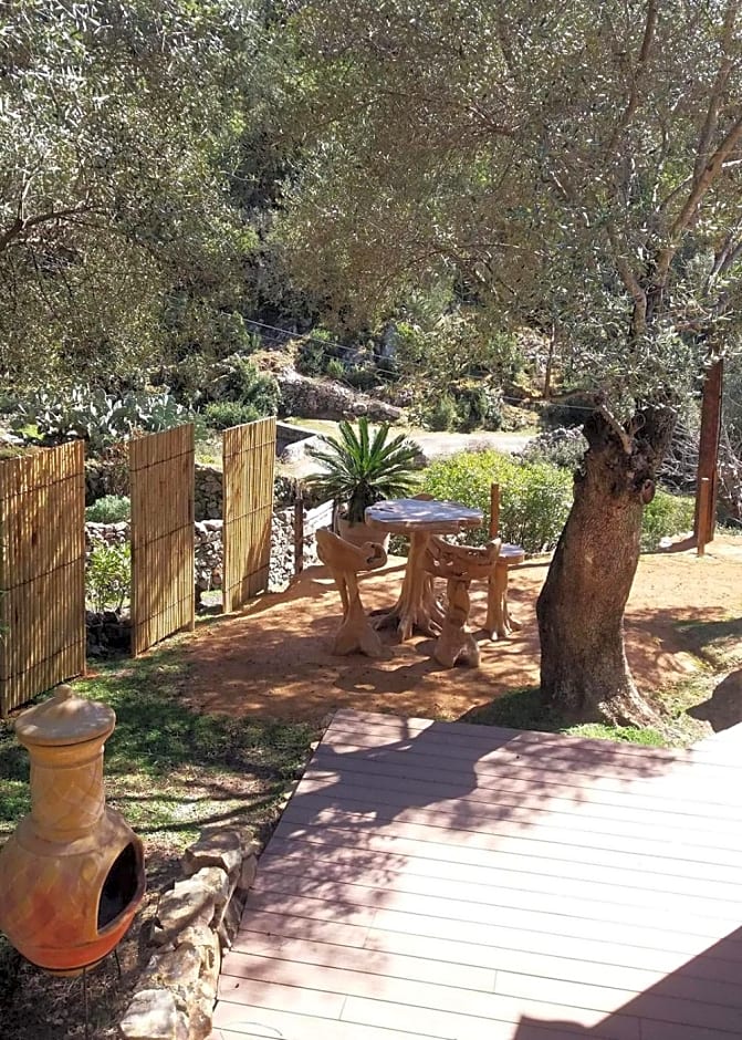 L'oliveraie du Fango