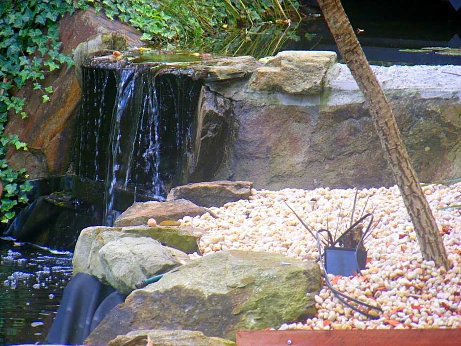 Weeroona Bed And Breakfast