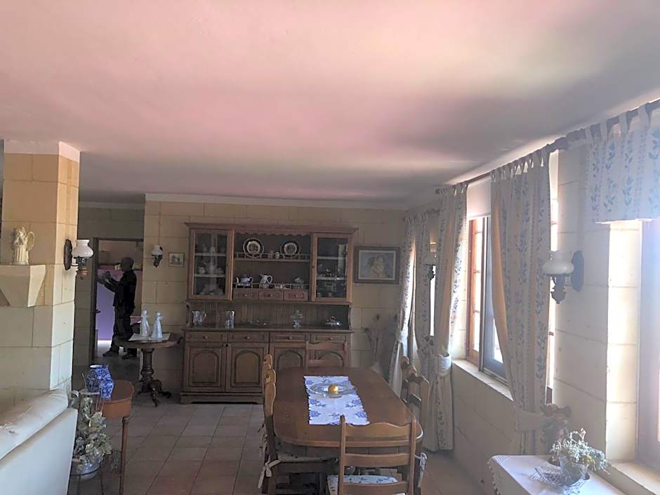 La Fenice by Giancarlo