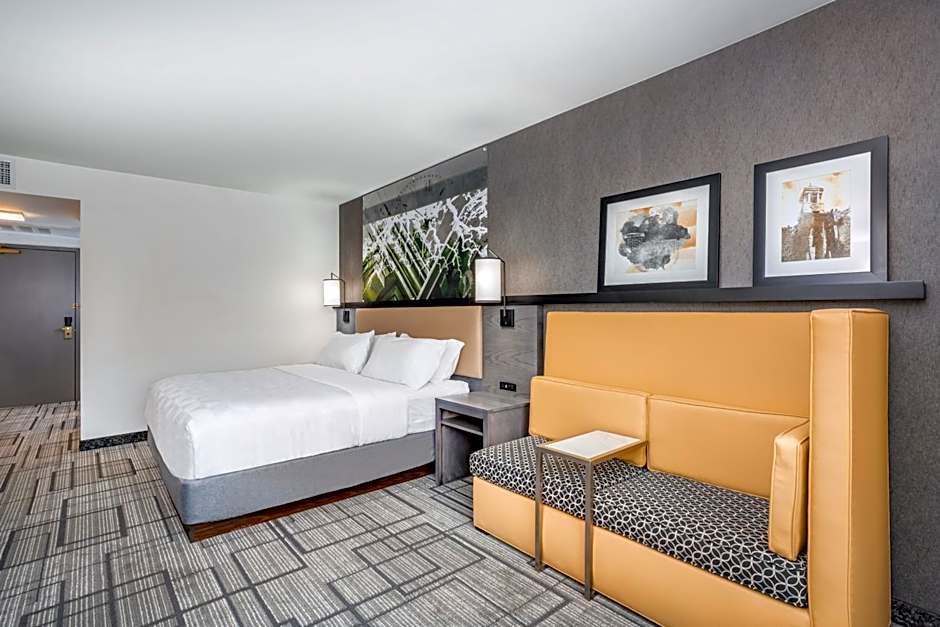 Holiday Inn Lafayette-City Centre By IHG