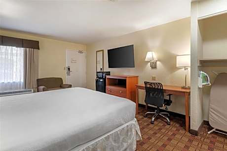 King Room with Roll-In Shower - Disability Access