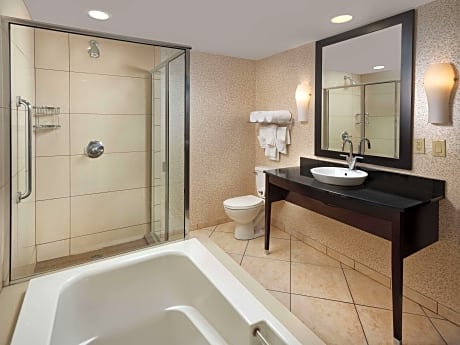 1 King Bed 1 Room Suite-Whirlpool-Nonsmoking