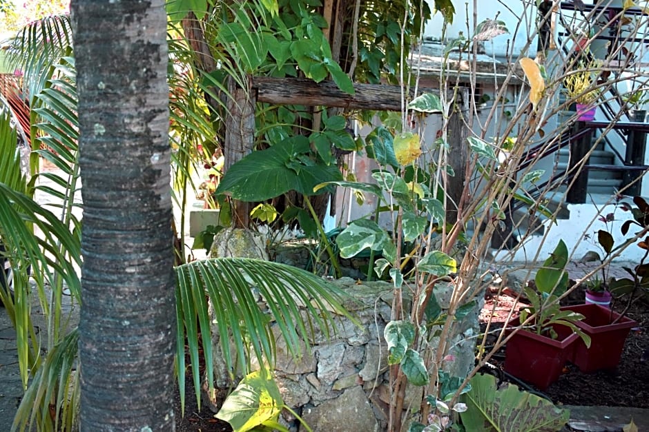 Lobo Inn Tulum